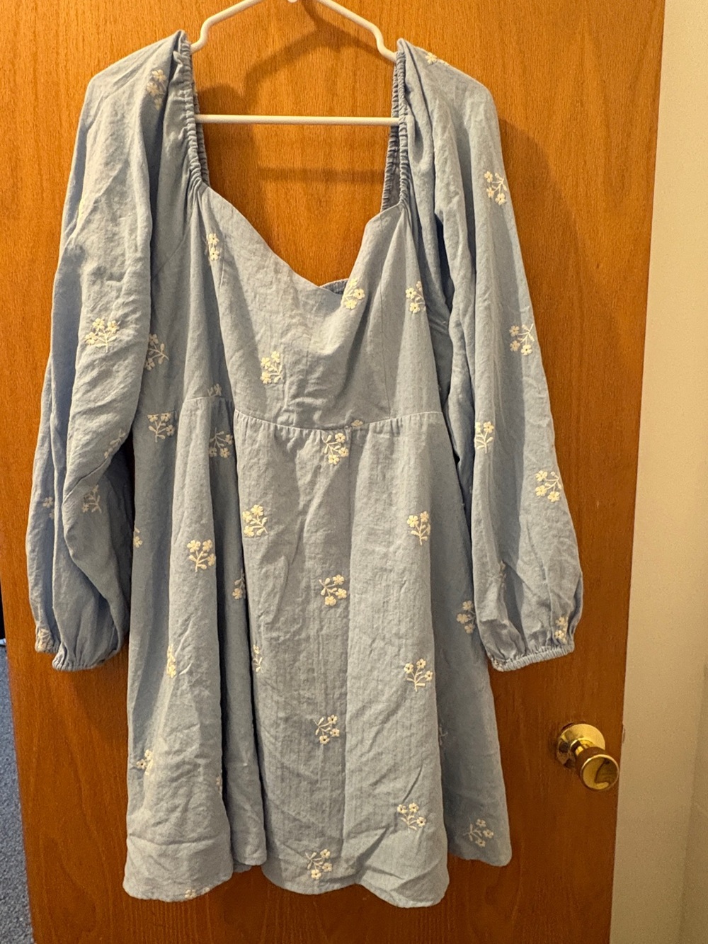 ARULA Light Blue Embroidered Long-Sleeve Mini Dress
